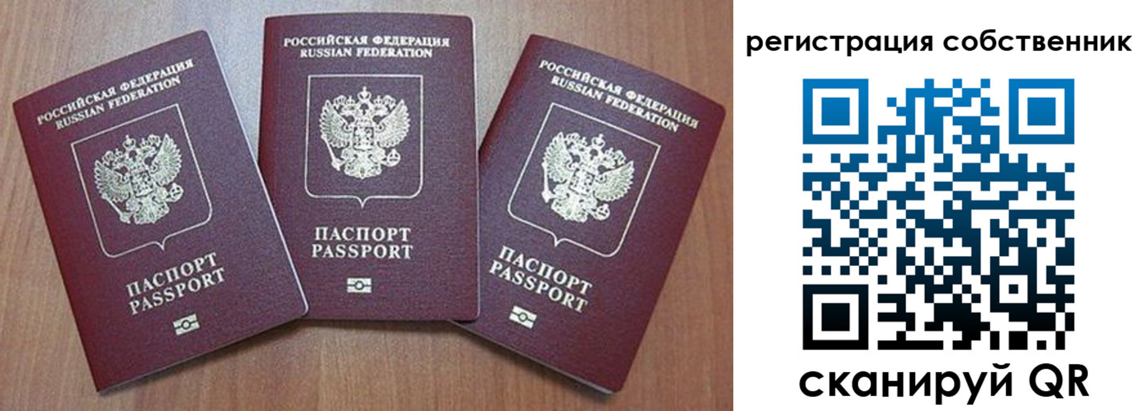 регистрация для школы в Курске