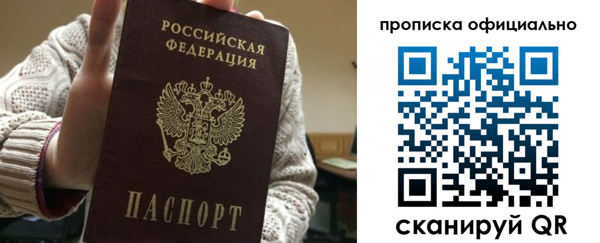 прописка поиск в Курске